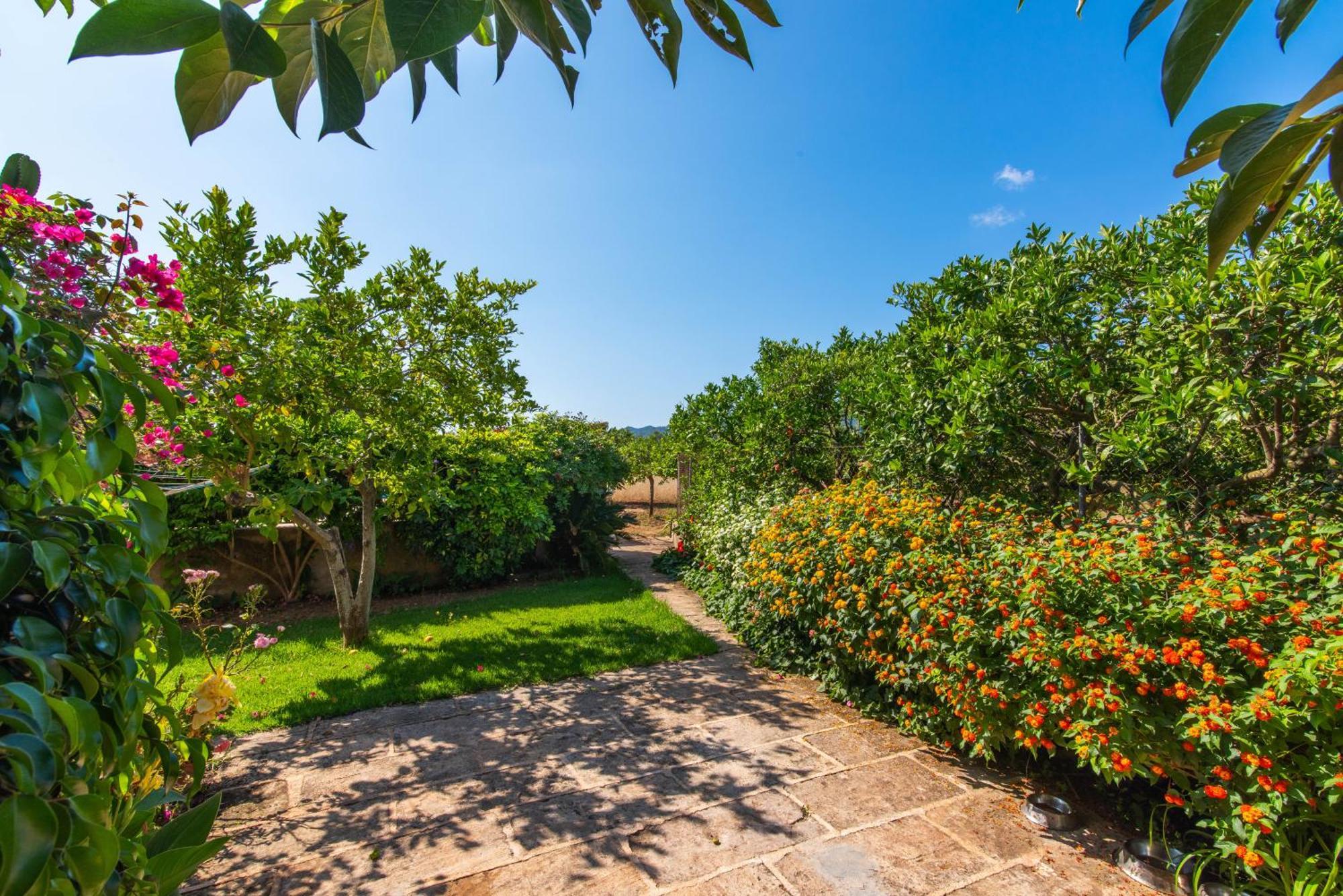 Apartamento Petit - Rural