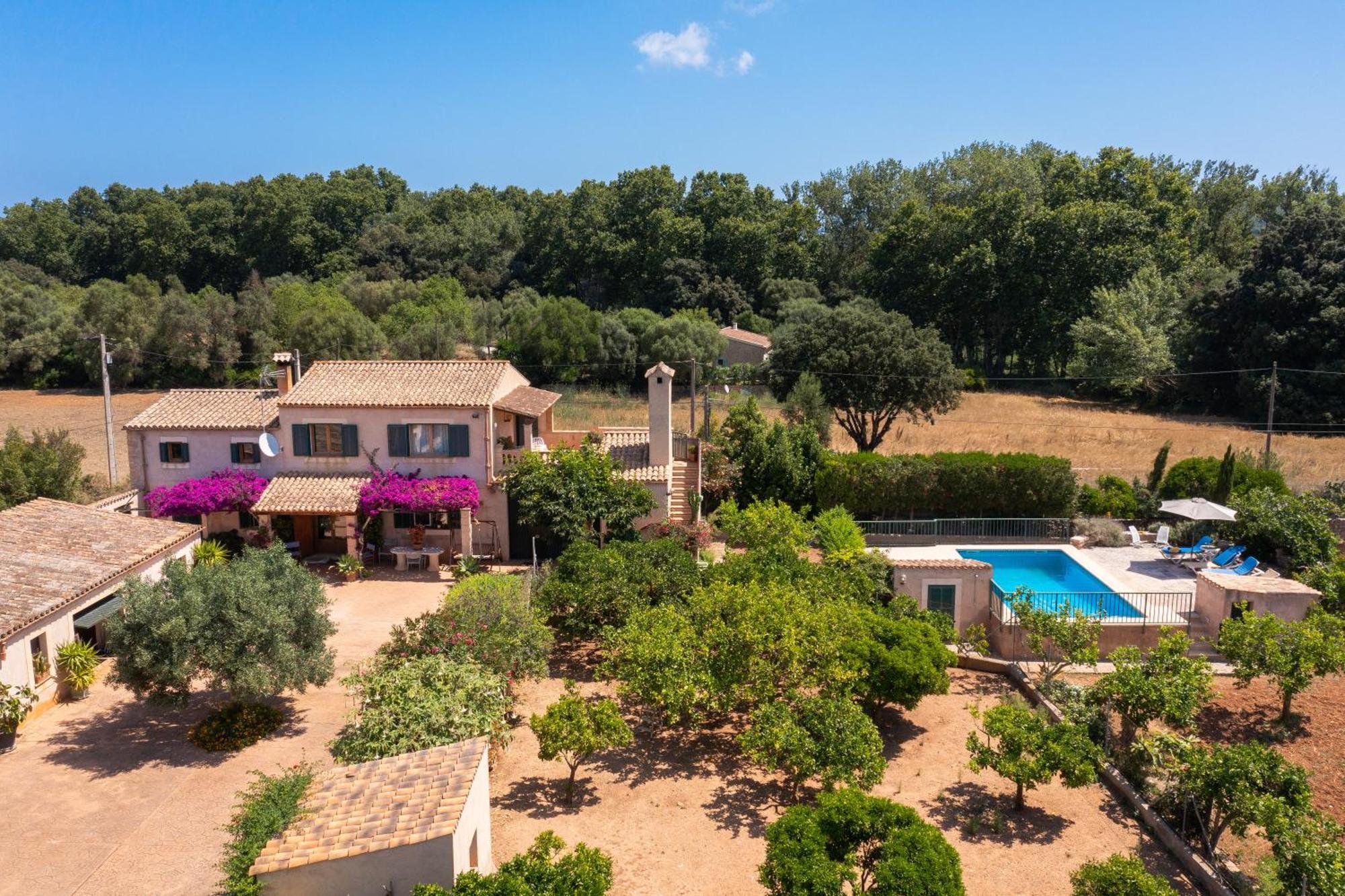 Apartamento Petit - Rural *